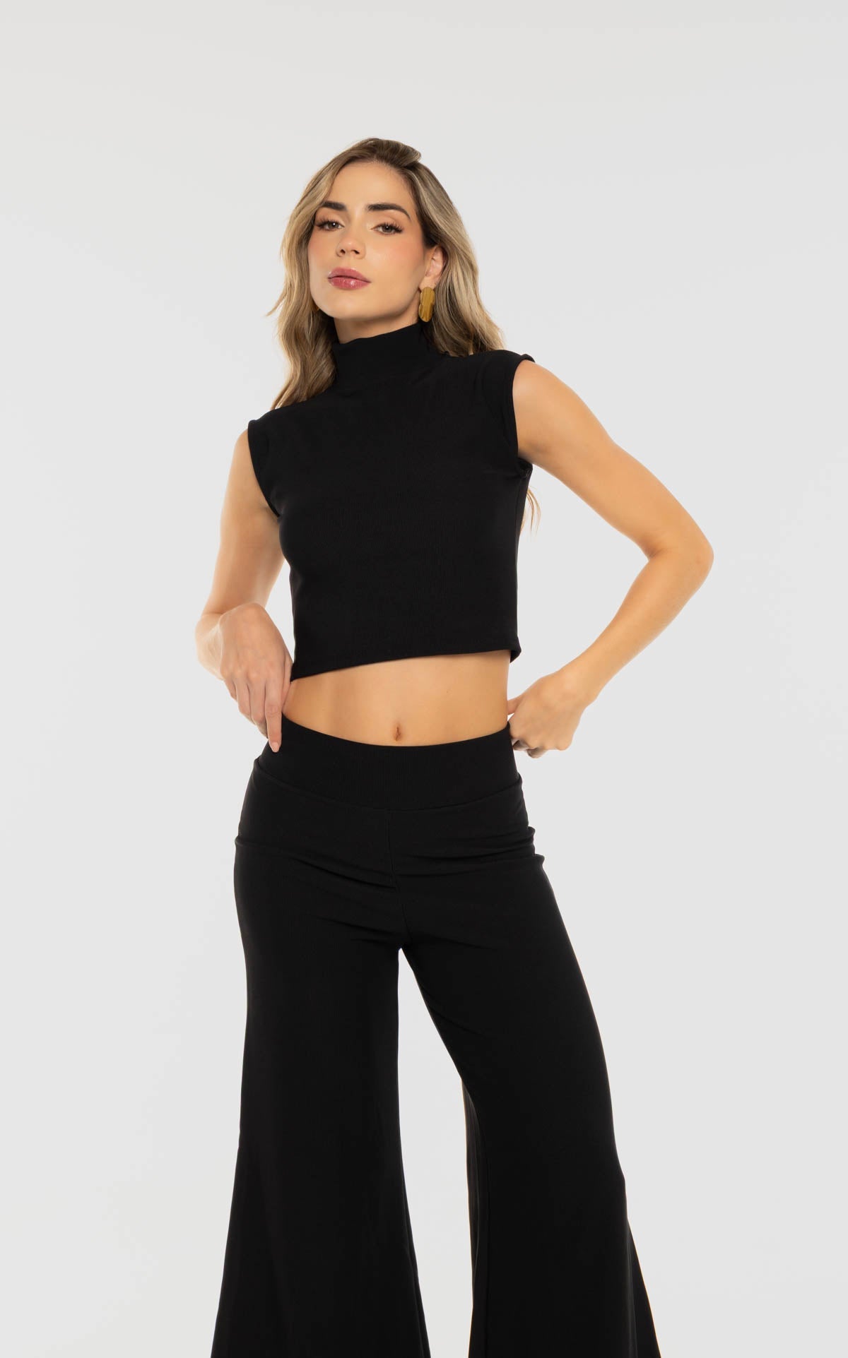 Blusa Negra Manga Sisa Cuello Alto