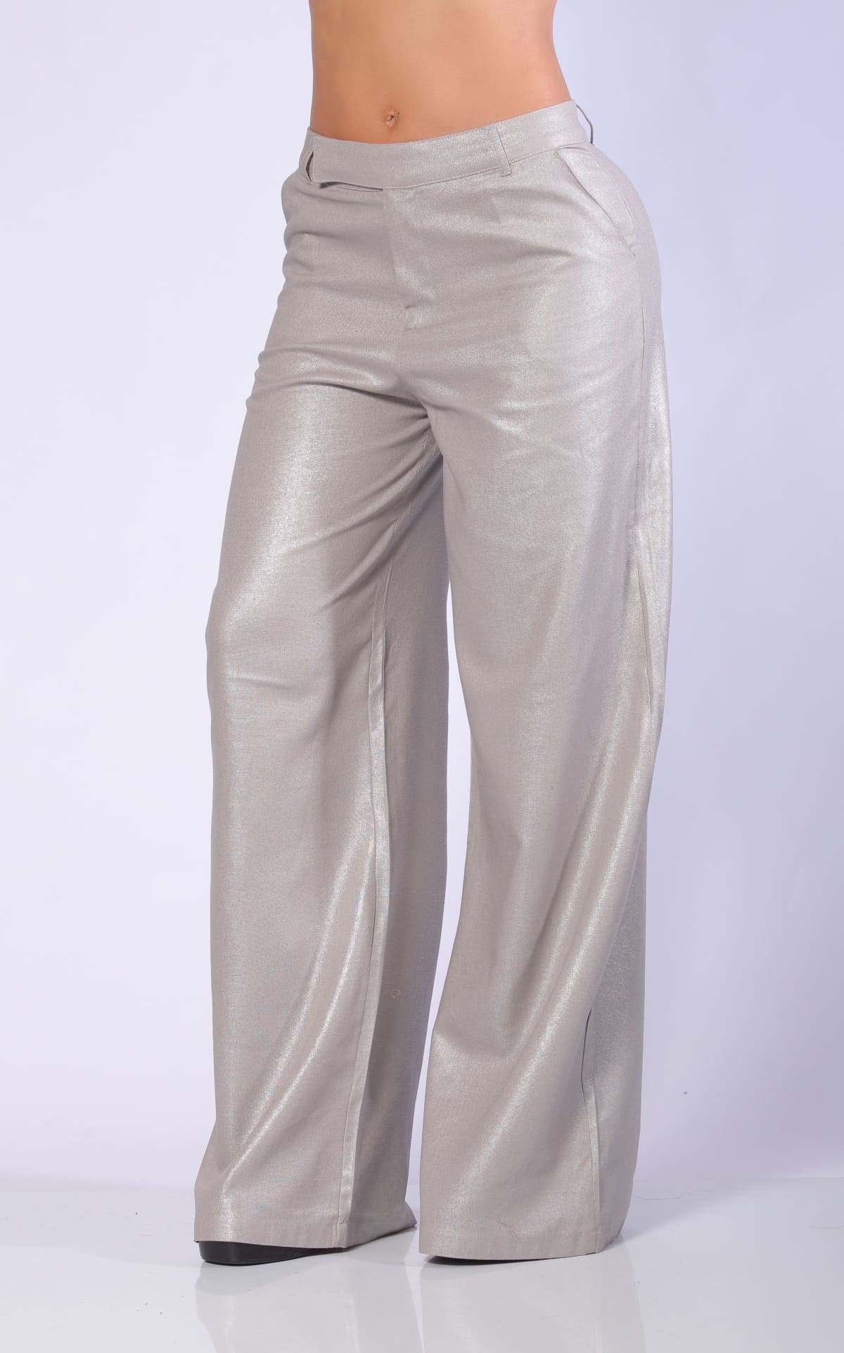 Pantalón Gris Lino Brillante